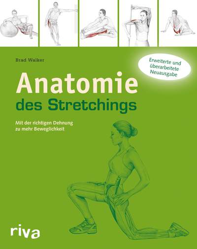 Anatomie des Stretchings